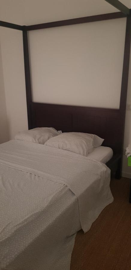 Centre Ville Le Puy-En-Velay Au 1Er Etage Экстерьер фото